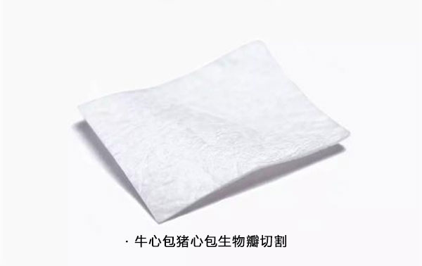 生物瓣膜（牛心包膜，豬心包膜）激光切割機